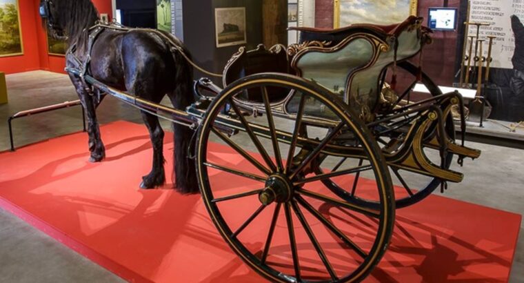 Friesian horse gets its own museum in Leeuwarden