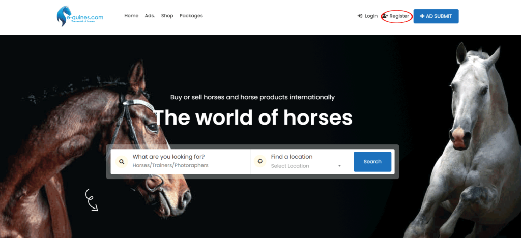 e-quines.com | Buy & Sell your horse internationally